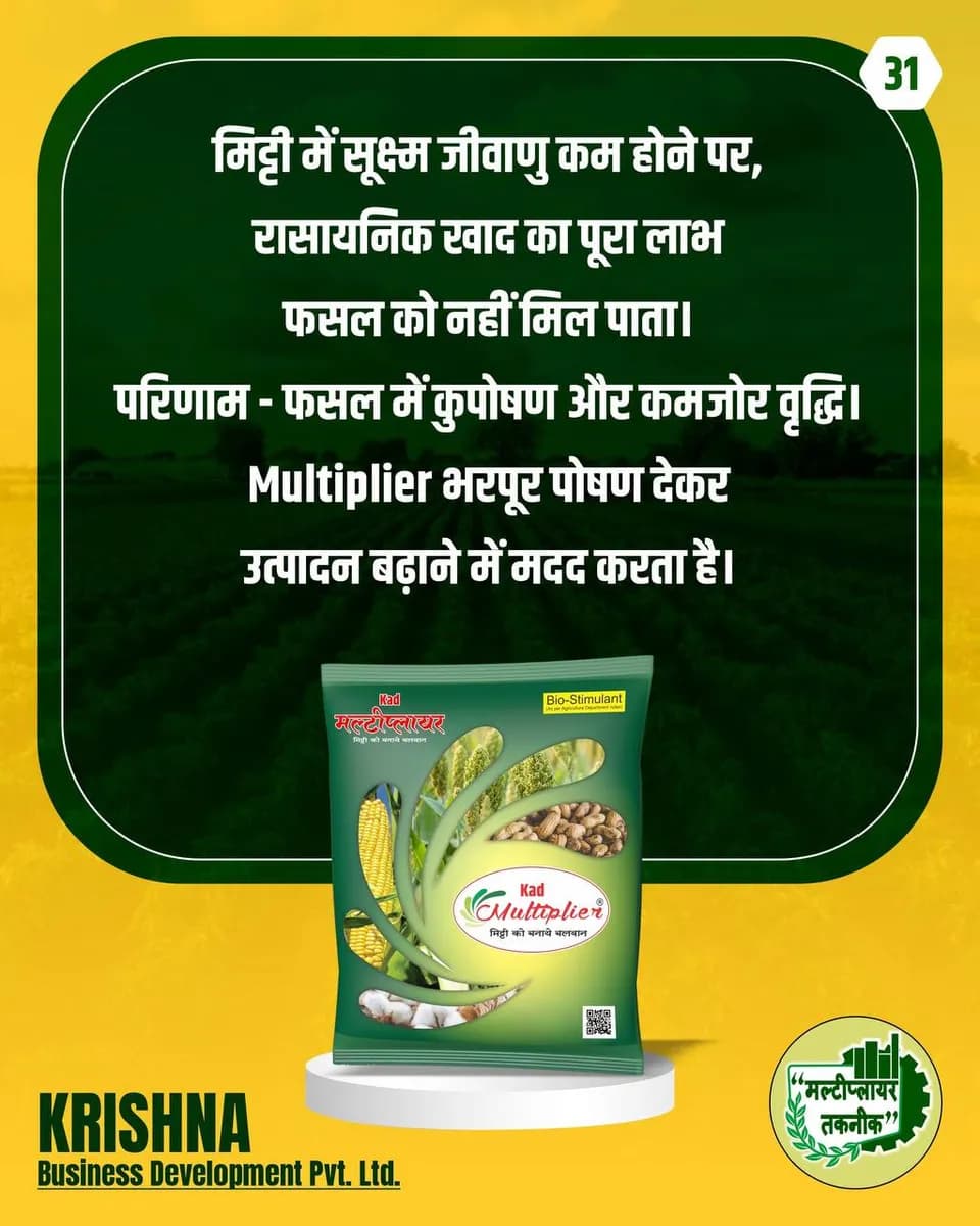 महागड्या रूट टॉनिकला फाटा द्या! मल्टिप्लायरच्या वापराने वाढवा पांढरी मुळी १० पटीने!