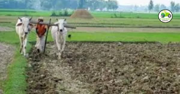 का येत नाही पीएम किसान योजनेचे पैसे खात्यावर; जाणून घ्या कारण