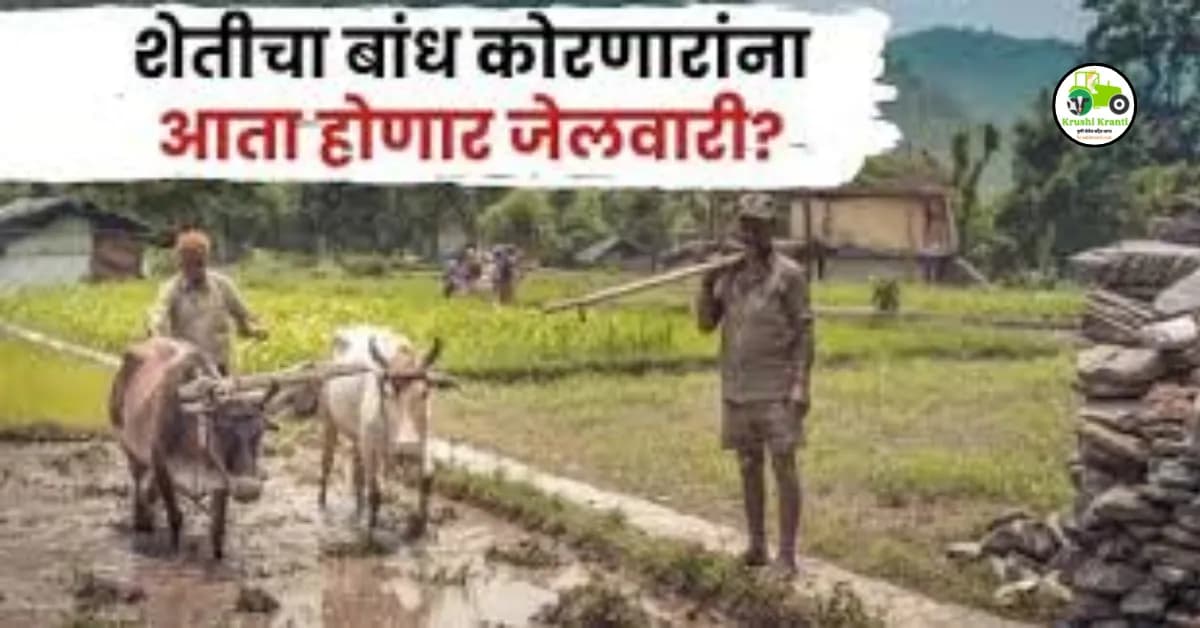 शेजारी बांध कोरतोय तर, अतिक्रमण काढण्यासाठी असा करा कायदेशीर अर्ज