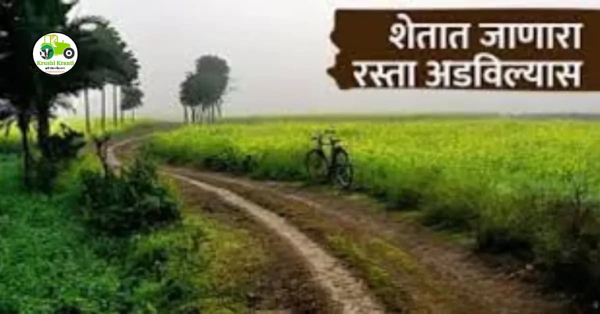 शेतात जाण्यासाठी रस्ता नाही? असा करा कायदेशीर अर्ज ; मिळणार हक्काचा रस्ता…
