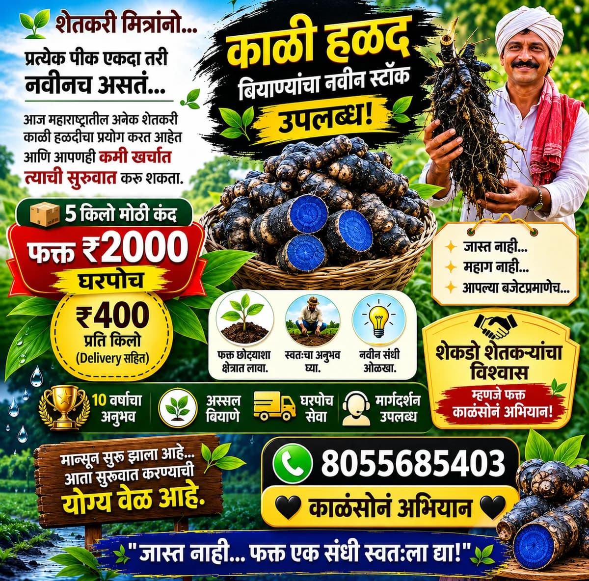 शेतकरी मित्रांसाठी हळद बियाण्यावर मान्सून ऑफर आहे
