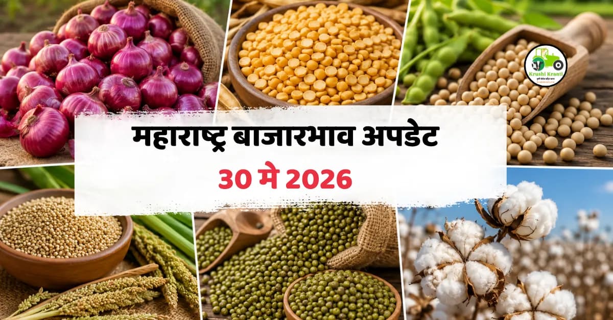 महाराष्ट्र बाजारभाव अपडेट 30 मे 2026: कांदा दरात चढ-उतार, तूर-सोयाबीन तेजीत