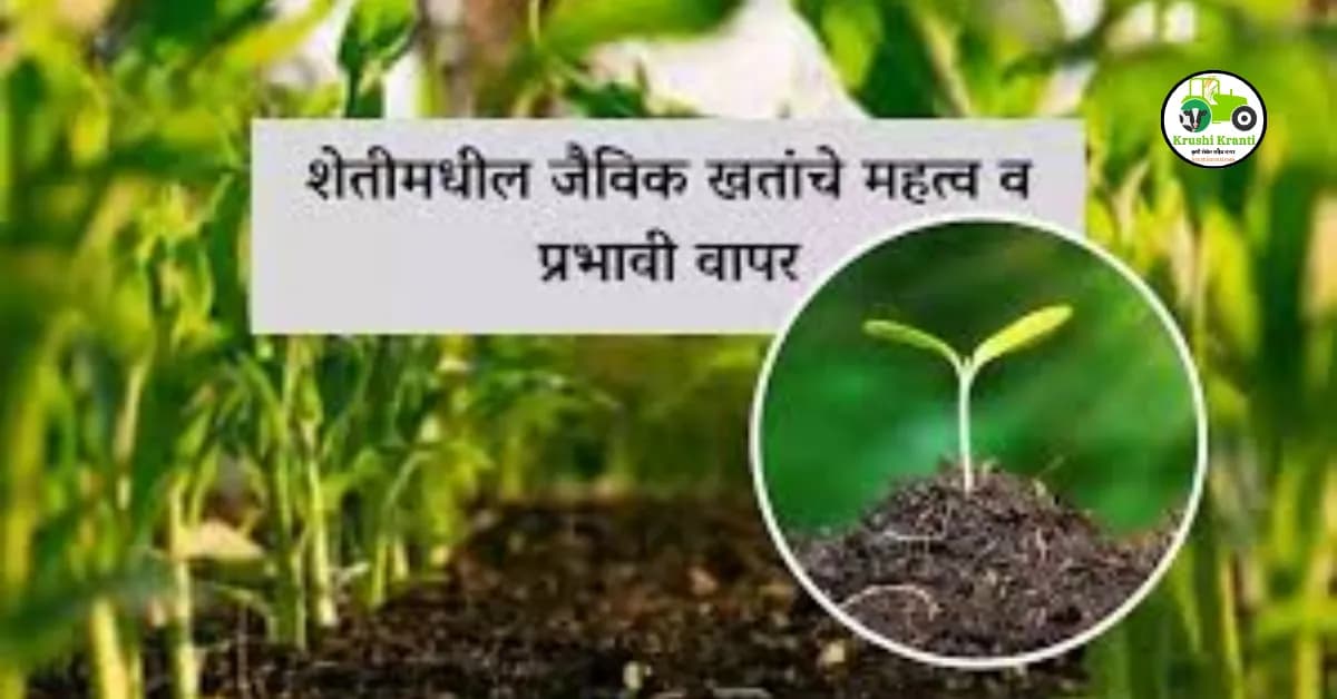 शेतीमधील जैविक खतांचे महत्व व प्रभावी वापर