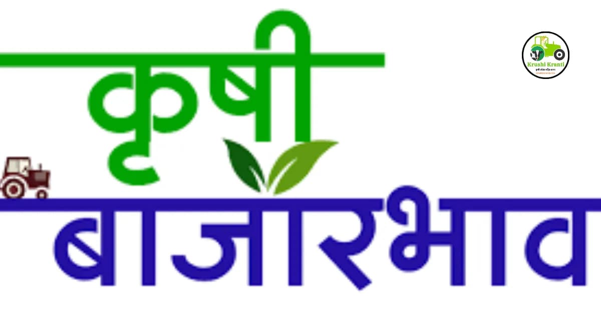 आजचे ताजे बाजारभाव