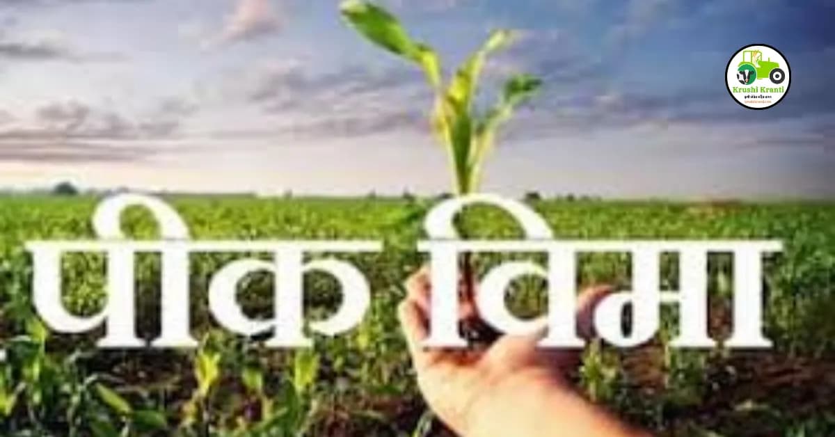 शेतकऱ्यांसाठी १ रुपयात पीक विमा योजनेची अर्थसंकल्पात घोषणा, वर्षाला मिळणार 12 हजार रुपये