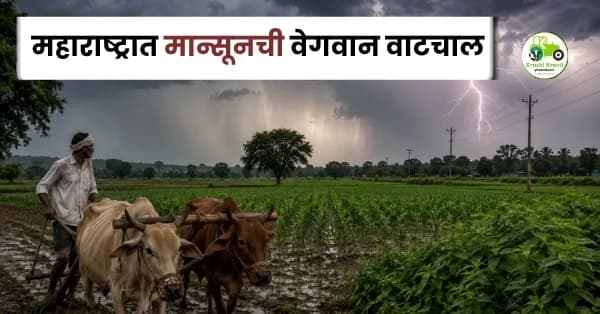महाराष्ट्रात मान्सूनची वेगवान वाटचाल; गडगडाटी पावसाचा इशारा, शेतकऱ्यांनी घ्यावी विशेष काळजी