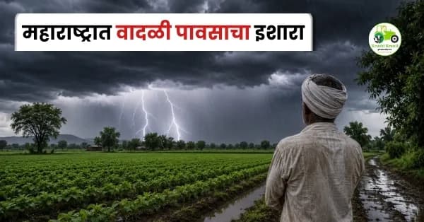 महाराष्ट्रात वादळी पावसाचा इशारा; २३ जिल्ह्यांना हवामान विभागाचा अलर्ट, शेतकऱ्यांनी घ्यावी विशेष काळजी