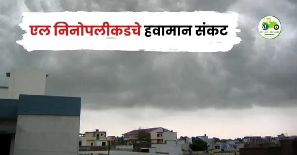 एल निनोपलीकडचे हवामान संकट: महाराष्ट्रातील शेतीसमोर वाढते आव्हान