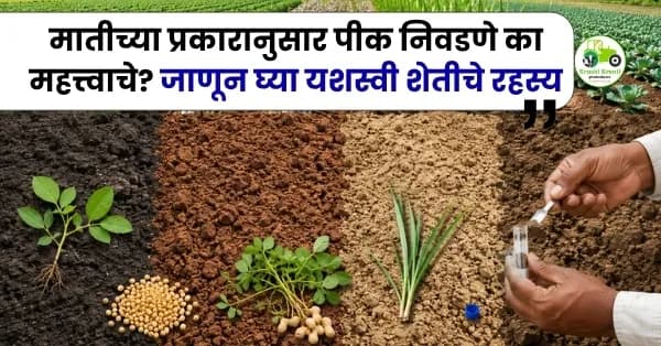 मातीच्या प्रकारानुसार पीक निवडणे का महत्त्वाचे? जाणून घ्या यशस्वी शेतीचे रहस्य