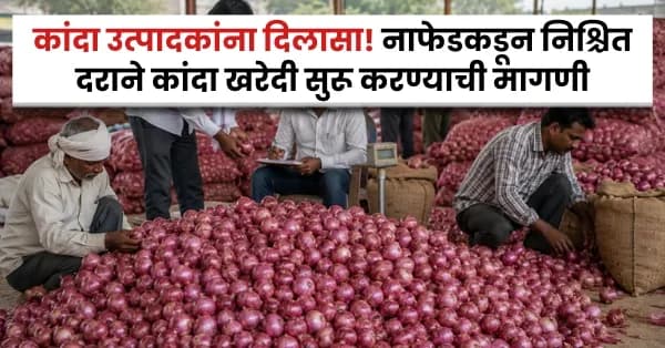 कांदा उत्पादकांना दिलासा! नाफेडकडून निश्चित दराने कांदा खरेदी सुरू करण्याची मागणी; शेतकऱ्यांच्या आशा वाढल्या