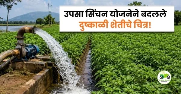 उपसा सिंचन योजनेने बदलले दुष्काळी शेतीचे चित्र! पाण्याअभावी त्रस्त शेतकऱ्यांना मिळाला नवा आधार