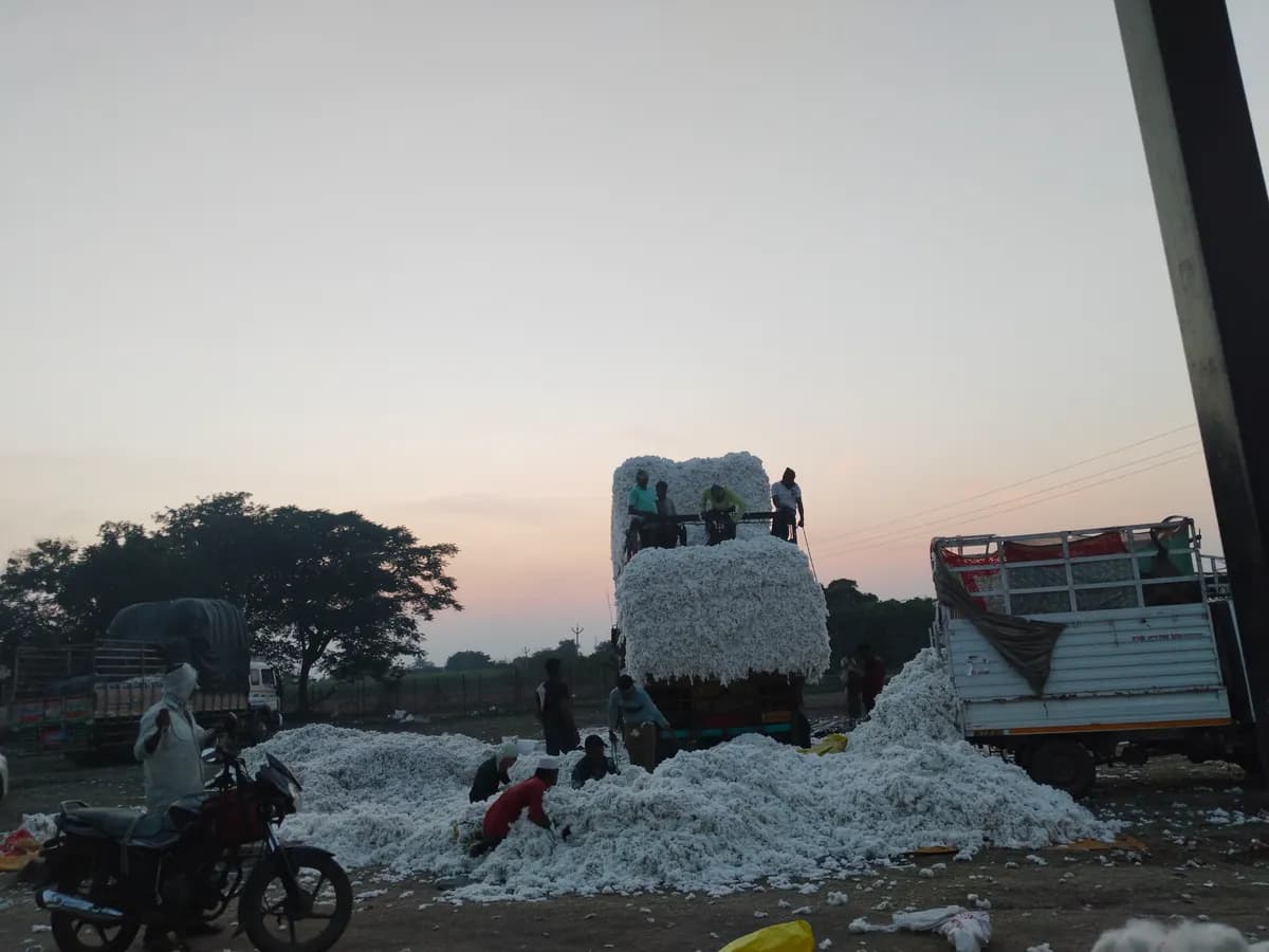 शनीराज कापूस खरेदी केंद्र