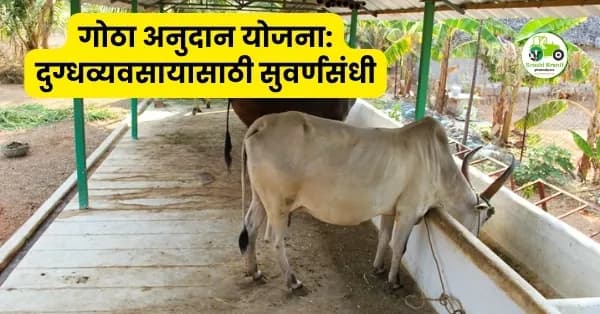 गोठा अनुदान योजना: दुग्धव्यवसायासाठी सुवर्णसंधी
