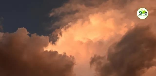 महाराष्ट्रात मान्सूनचे पाऊल पुढे! पुढील ७ दिवस कसे असेल हवामान? जाणून घ्या सविस्तर अंदाज