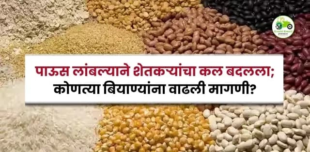 पाऊस लांबल्याने शेतकऱ्यांचा कल बदलला; कोणत्या बियाण्यांना वाढली मागणी?