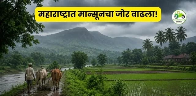 दक्षिण महाराष्ट्रात मान्सूनचा जोर वाढला!