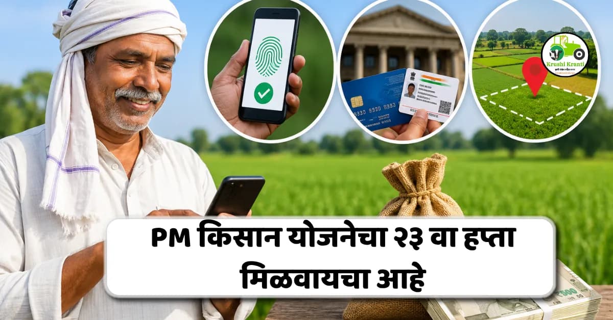 PM किसान योजनेचा 23 वा हप्ता 2026: 30 जूनपूर्वी पूर्ण करा ही 3 महत्त्वाची कामे