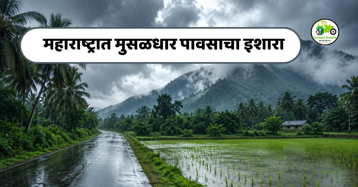 पुढील 48 तास महत्त्वाचे! केरळ, कर्नाटकसह महाराष्ट्रात मुसळधार पावसाचा इशारा