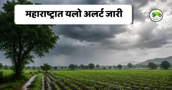 महाराष्ट्रात यलो अलर्ट जारी! पुढील ५ दिवस मुसळधार पाऊस आणि वादळी वाऱ्याचा इशारा