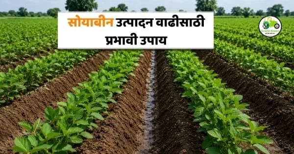 कमी पाण्यात बीबीएफ तंत्राने सोयाबीन लागवड: उत्पादनात 3 ते 4 क्विंटल वाढीची संधी