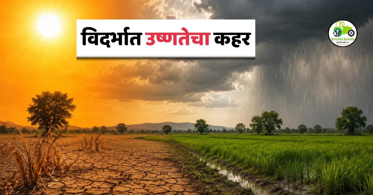 विदर्भात उष्णतेचा कहर! ब्रह्मपुरीत 45.5°C तापमानाची नोंद, पावसामुळे काही भागांना दिलासा