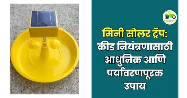 मिनी सोलर ट्रॅप: UV LED आधारित कीड नियंत्रणासाठी सर्वोत्तम सोलर सापळा