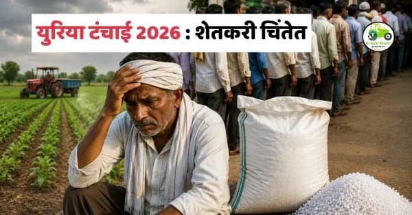 युरिया टंचाई 2026: खरीप हंगामाच्या तोंडावर शेतकरी चिंतेत, सरकारकडून अमोनियम सल्फेटचा पर्याय