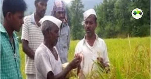 शेतकरी उत्पादक कंपनी (FPO) म्हणजे काय? पहा एफपीओ चे फायदे