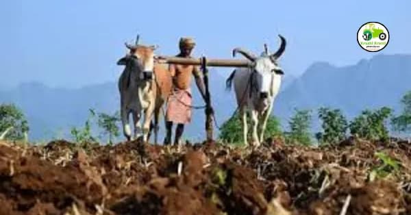 शेतजमिनींची अदलाबदल आता फक्त २ हजार रुपयांत, जाणून घ्या काय आहे सलोखा योजना