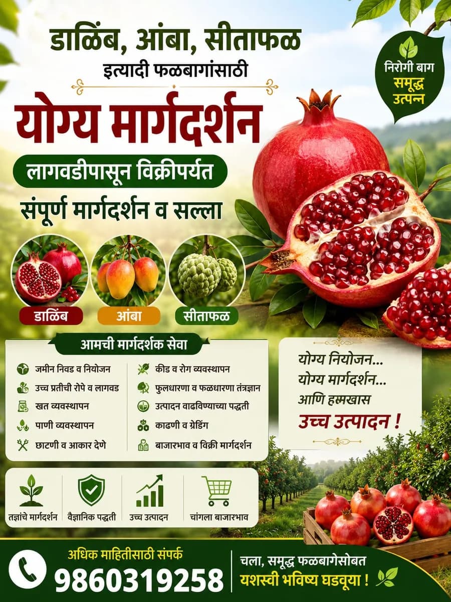 डाळिंब, आंबा, सीताफळ फळबाग मार्गदर्शन