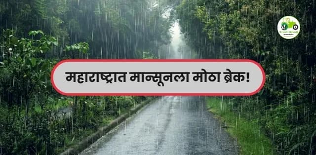 महाराष्ट्रात मान्सूनला मोठा ब्रेक!