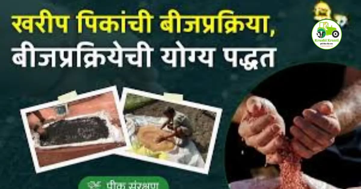 खरिप पिकांची बीजप्रक्रिया कशी करायची? बीजप्रक्रिया करताना घ्यावयाची काळजी