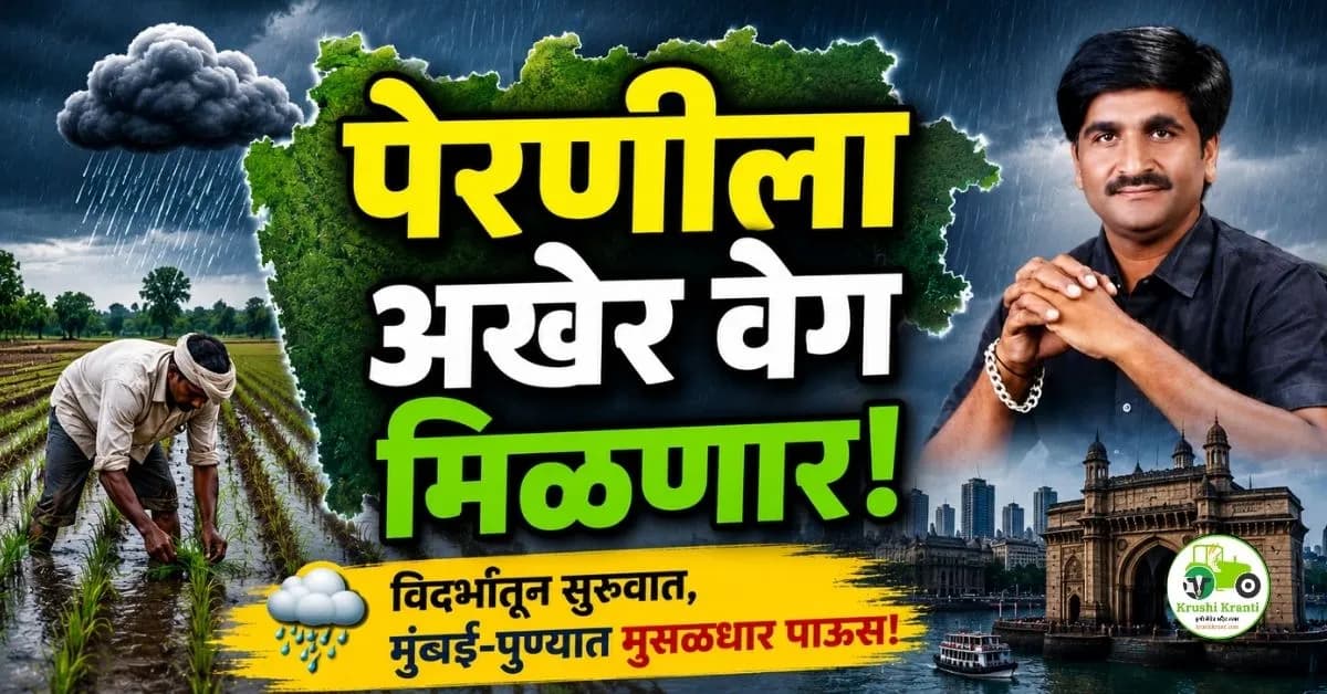 महाराष्ट्रात पावसाची दमदार एंट्री! विदर्भातून सुरुवात, मुंबई-पुण्यात मुसळधार पावसाचा अंदाज
