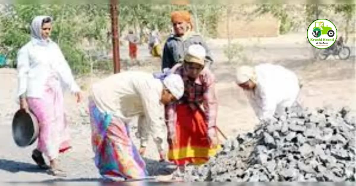 मनरेगा योजना म्हणजे काय? ग्रामीण कुटुंबांना कसा होतोय याचा फायदा? जाणून घ्या सविस्तर