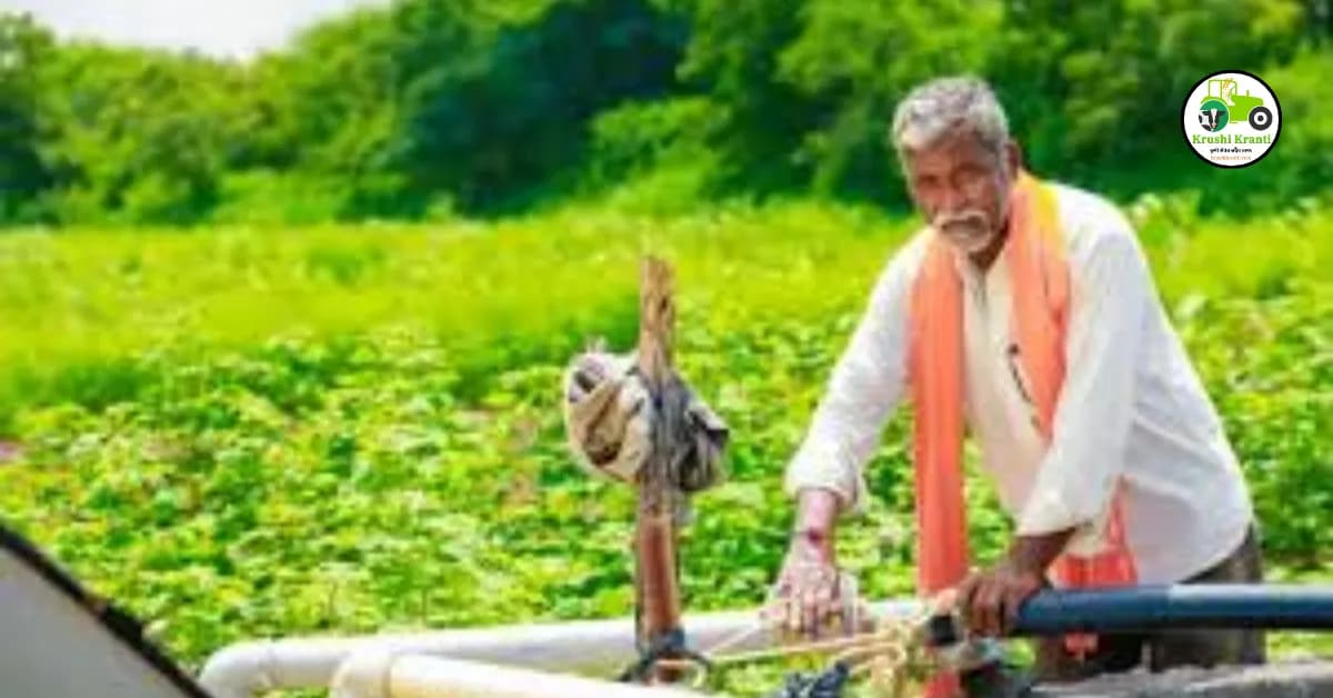 शेतकऱ्यांसाठी 5 वर्षात लाखोंची कमाई करून देणारे पीक
