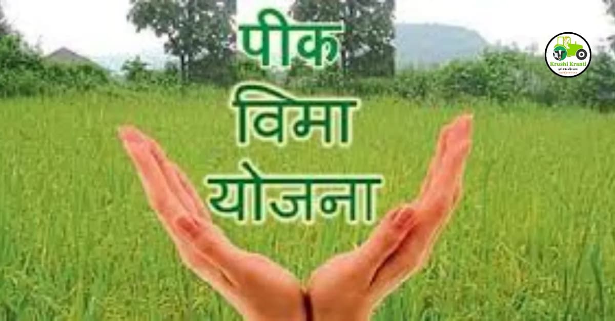 पिकविमा योजनेसाठी यंदापासून नवीन नियम लागू