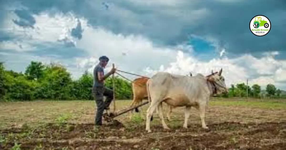 शेतकऱ्यांसाठी फायद्याच्या ठरतायेत केंद्र सरकारच्या या योजना