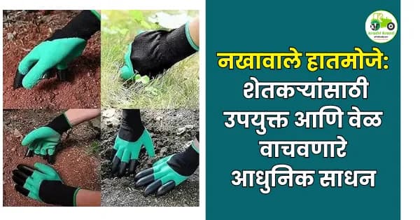 शेणखत विसकटण्यासाठी नखावाले हातमोजे – शेतकऱ्यांसाठी उपयुक्त आणि वेळ वाचवणारे आधुनिक साधन