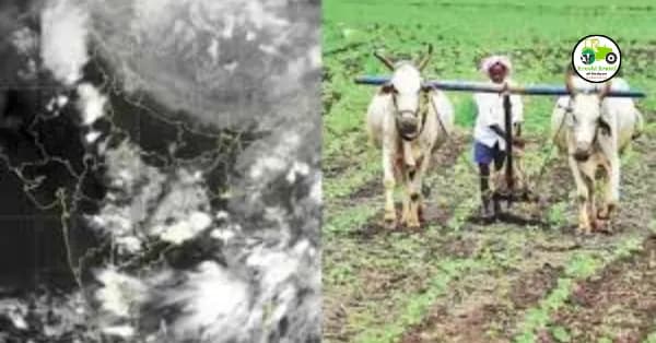 ड्रॅगन फ्रुट लागवड तंत्रज्ञान
