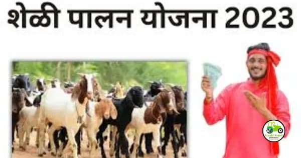 कोंबड्या आणि शेळीसाठीही कर्ज मिळणार, असा करा अर्ज