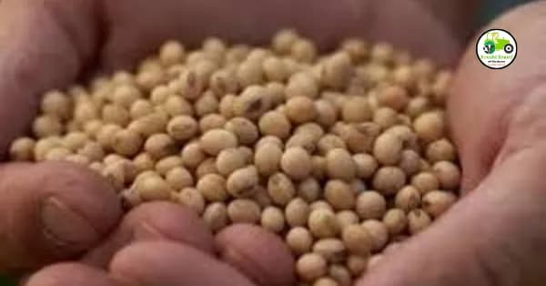 आता शेतकऱ्यांना बोगस बियाणे, खतांविरोधात तक्रारी व्हाट्सअँप वर नोंदवता येणार