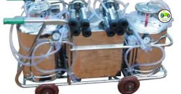 Milking Machine : दूध काढणी यंत्राची गरज आणि फायदे