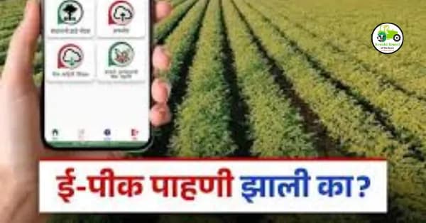 E-Pik Pahani : ऑनलाईन ई-पीक पाहणी घरबसल्या करा तुमच्या मोबाईलवरून