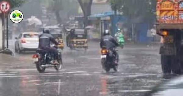 Weather : आज राज्यात जोरदार पावसाची शक्यता