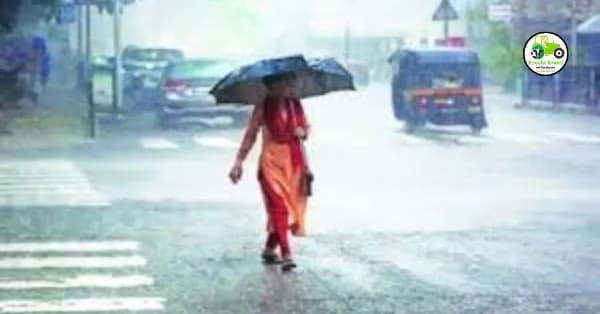 Heavy rain : राज्यात दोन दिवसानंतर पुन्हा जोरदार पाऊस