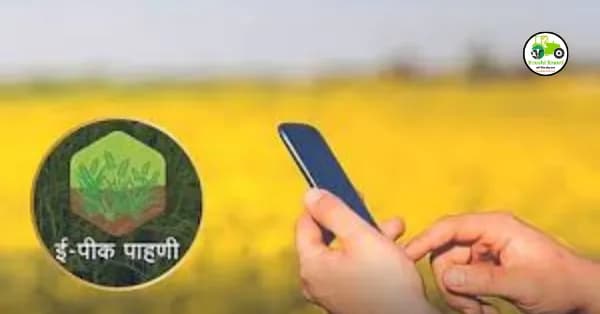 E-pik pahani : ई-पीक पाहणी साठी शेवटची तारीख कोणती?