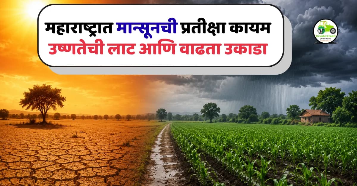 महाराष्ट्रात मान्सूनची प्रतीक्षा कायम | उष्णतेची लाट वाढली, IMD चा नवीन हवामान अंदाज 2026