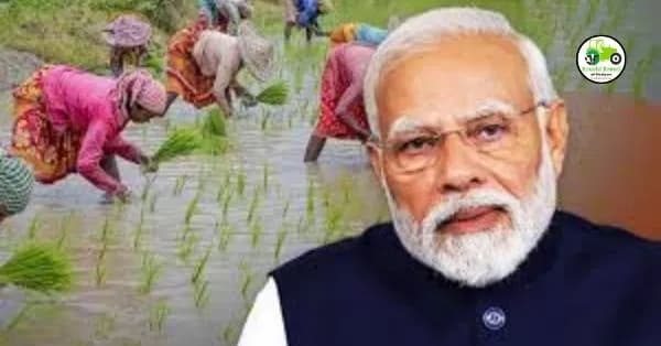 सणांपूर्वीच मोदी सरकारचा शेतकऱ्यांसाठी योजनांचा वर्षाव