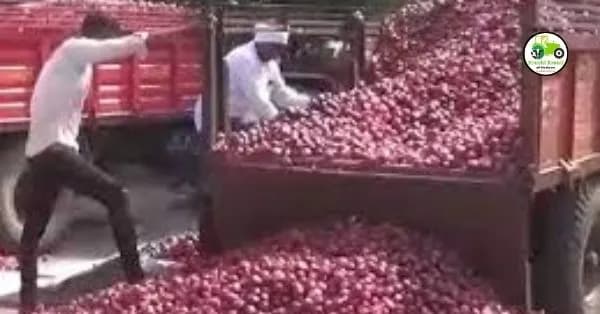 Onion Market : कांद्याचे लिलाव सलग सहा दिवस बंद;