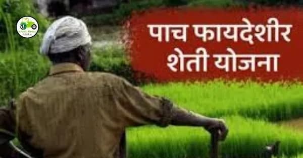 Government Scheme : शेतकऱ्यांसाठी अत्यंत महत्त्वाच्या योजनांची माहिती जाणून घ्या.